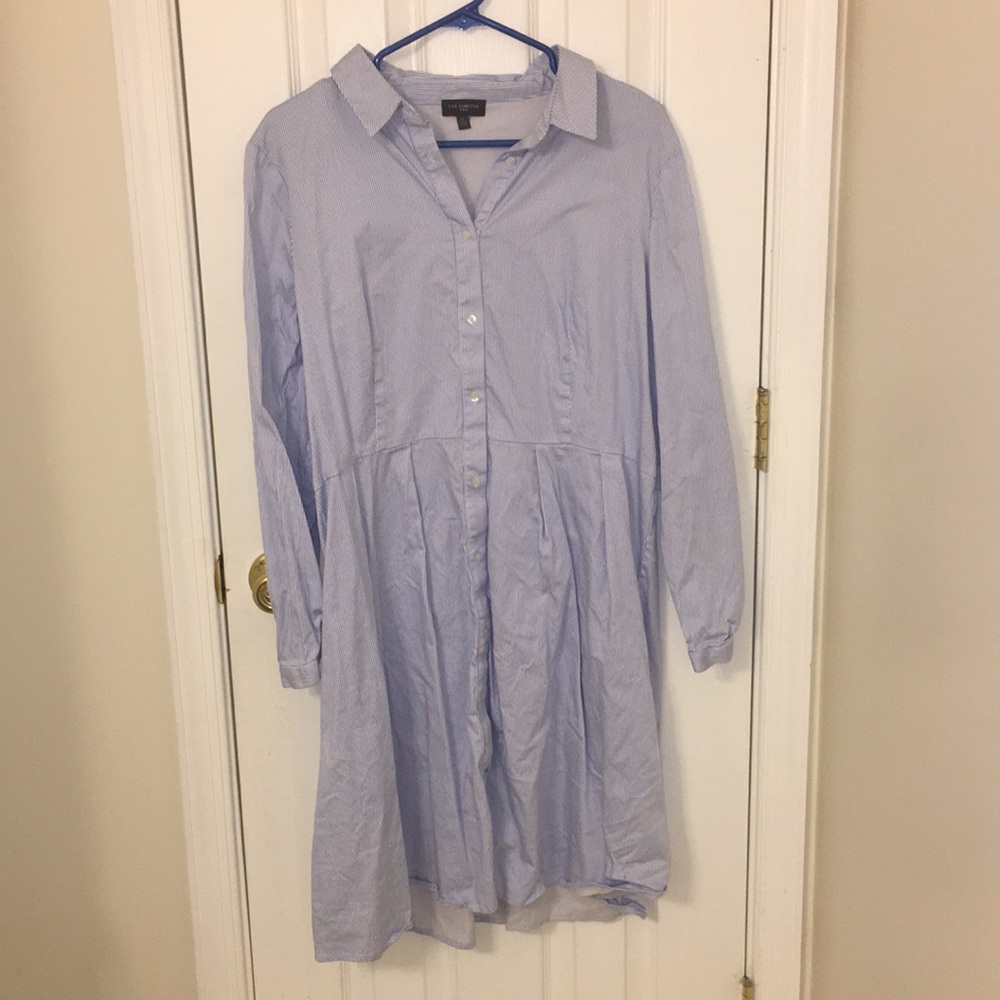 The limited (brand name) striped dress